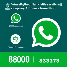 WhatsApp Ministério da Cidadania: Telefone, 0800, chat e ouvidoria