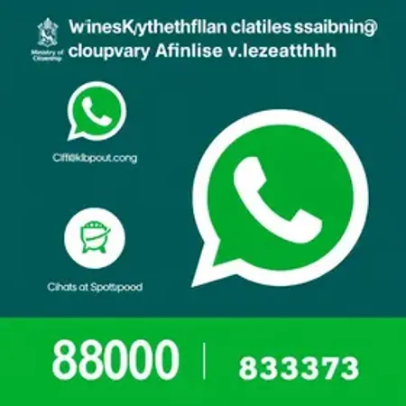 WhatsApp Ministério da Cidadania: Telefone, 0800, chat e ouvidoria