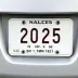 Placa Final 9 Licenciamento 2025: Calendário, Valor e Pagamento
