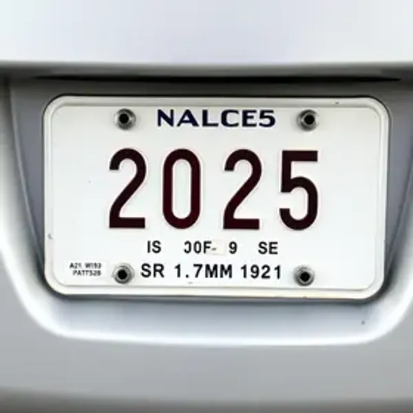 Placa Final 9 Licenciamento 2025: Calendário, Valor e Pagamento
