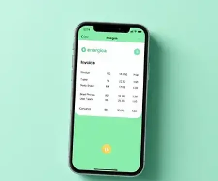 Energisa 2ª Via: Como Emitir Fatura pelo Site, App ou Telefone