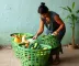 Cestas verdes: famílias do CadÚnico podem se inscrever para receber alimentos gratuitos