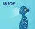 Vestibular EBMSP 2025: Inscrições, Cursos, Resultado