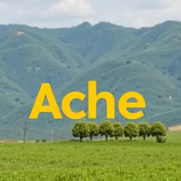 Aché Trabalhe Conosco: Vagas Abertas
