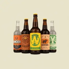 Nomes para cervejarias: Lista com 100 nomes criativos