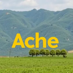 Aché Trabalhe Conosco: Vagas Abertas